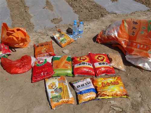 ���ɹź������쿪չ�����������鹤��