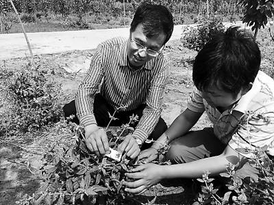 ������ɽ��������ع��������������