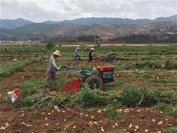 ͼΪ�����ض����������߲�����ʾ������ũ�������û�������������