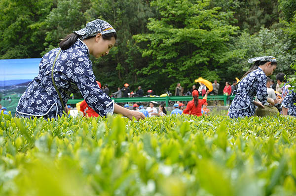 湖北三峡“茶艺节”签约逾5亿元