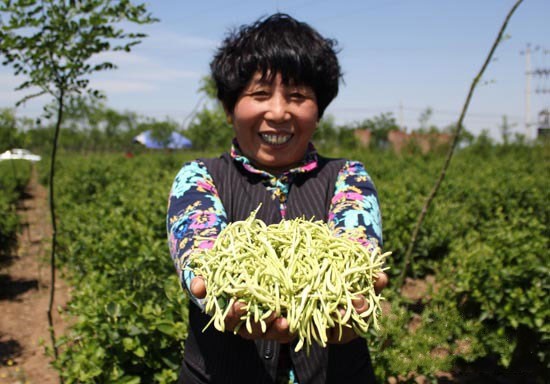 5��12�գ��ӱ���¹��һ��ũ����չʾ�ղ�ժ�Ľ�������