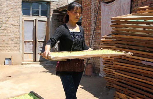 5��12�գ��ӱ���¹�ؽ������ӹ����廧��÷ѩ������������濾����ӹ���