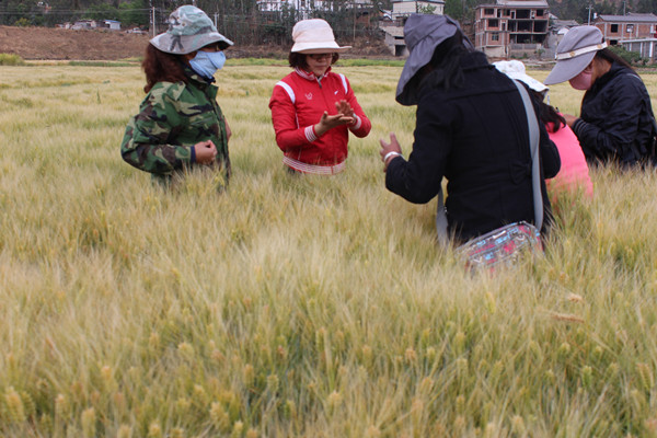 ͼ2ũҵƼרҼԱڲⶨųĶ߲ʾ