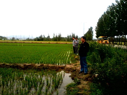 ����®�����絾������ʾ��Ƭ���糤��ϲ��