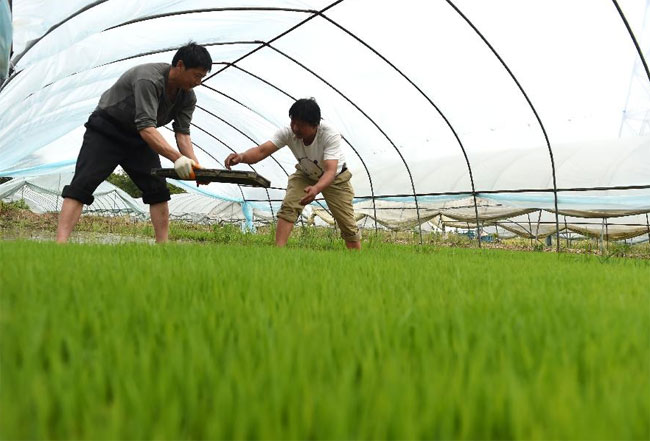 ���շ�����������������������