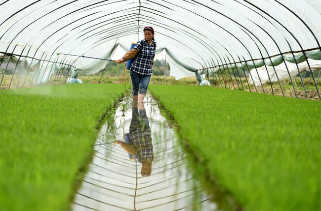 ���շ�����������������������2