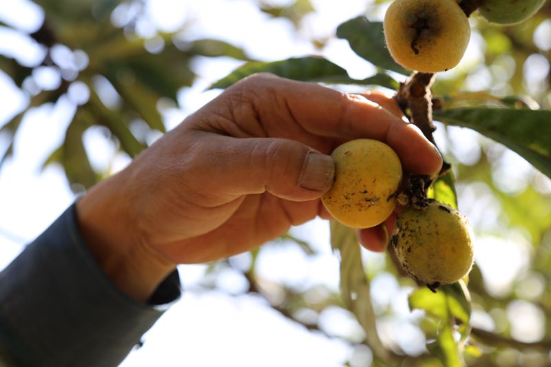 ����ʡũ���������ϻ�ɽ�������ʵ�ص�����̶���˲���ֱͨʽ��������