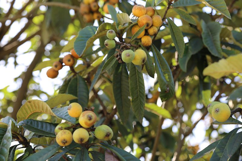 ���������̶�����˼�����������