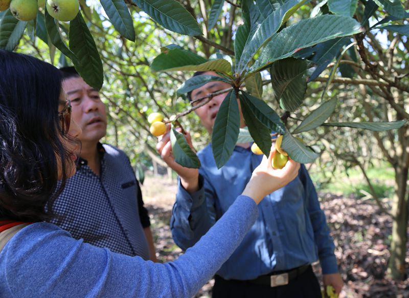 ��������Ա��ϸ�˽������������
