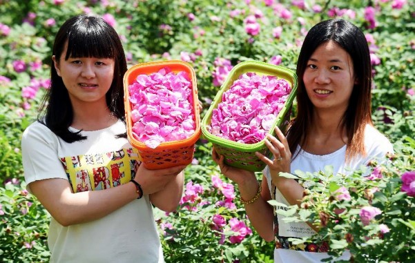 513գغִũҵʾԱڰ˸ողժıõ廨