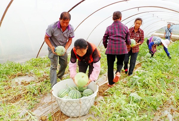 �����������500Ķ���������������� ��ũϲӭ�����