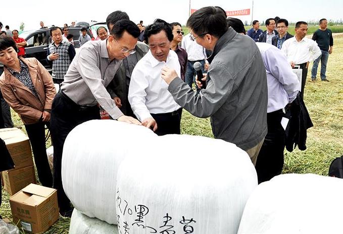 ũٿƹĲũҵۺϷֳĦ