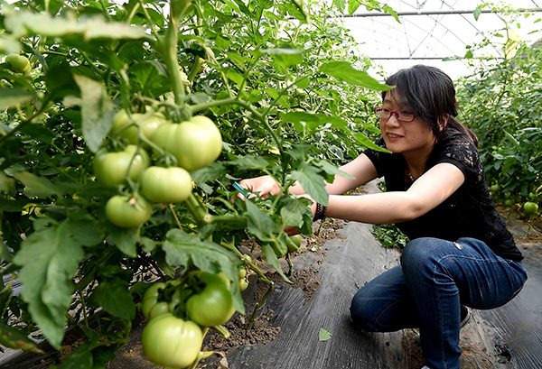 �ڼ�Դ����Ȫ�����ִ�ũҵʾ��԰����һ��ũ����Ϊ��������֦��5��15���㣩��