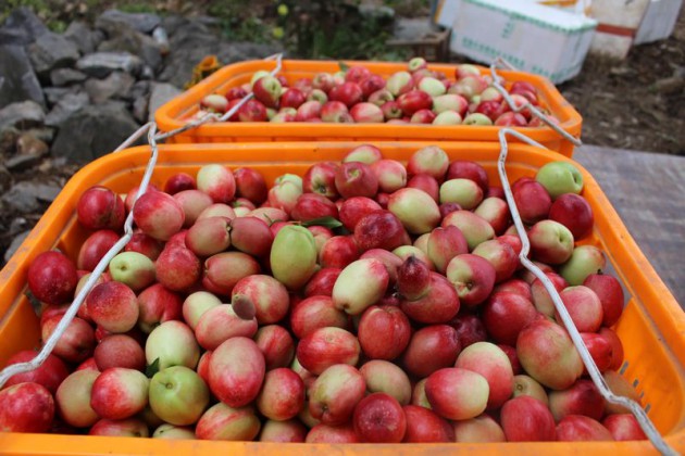 ����¹կ��ƽɽ������������2