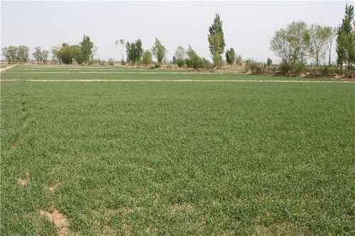 ���ɹ�����ؿƼ���Ա����һ�ߵ���߲�����С���������