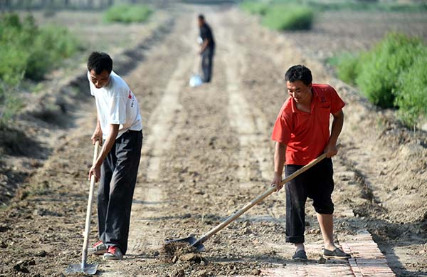 �ӱ���ǣ�������������ũҵ�ִ�����չ