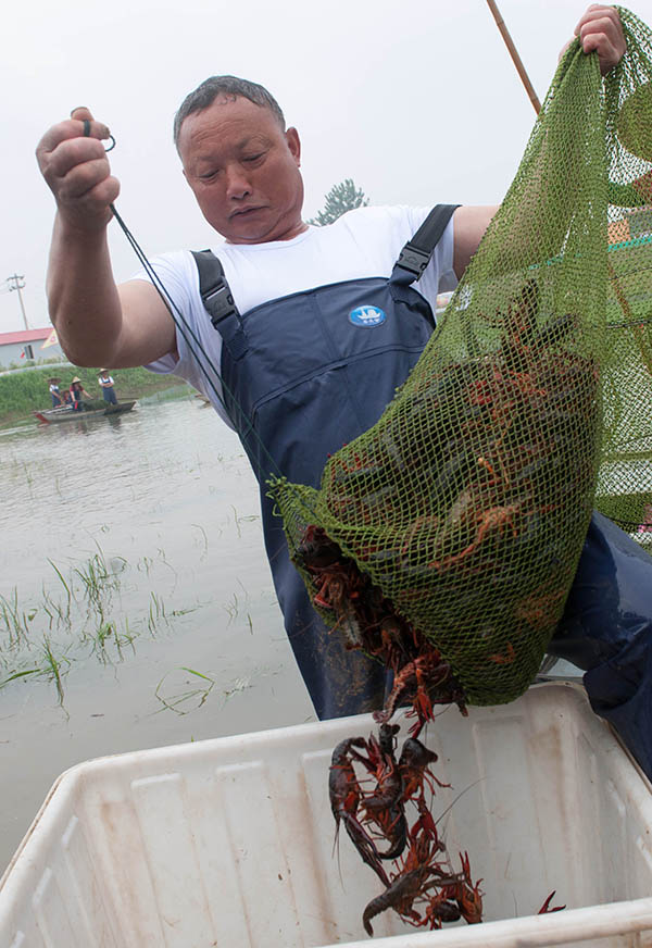 5��18�գ���ֳ���ڽ���ʡ���������ɺ���Ϻ��ֳ���ؿ�����Ϻ��