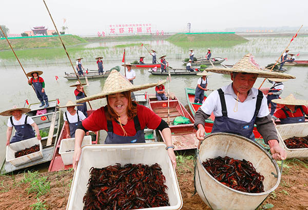 ����Ϻ֮�硱����������Ϻ��ʽ����