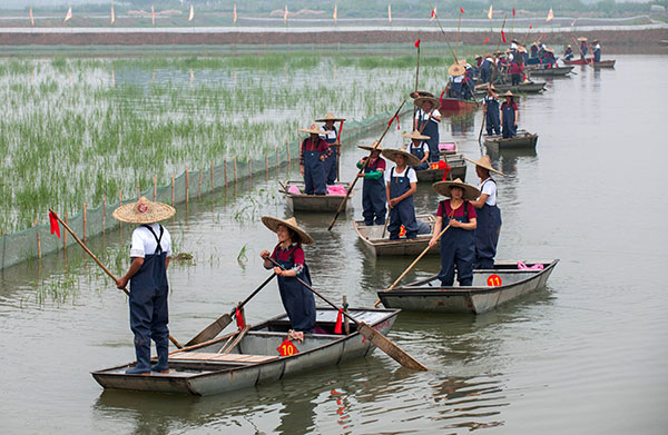 5��18�գ���ֳ���ڽ���ʡ���������ɺ���Ϻ��ֳ���ؿ�����Ϻ��