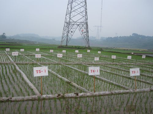 Ұ̴崴ˮĶ߲༼ʾƬ