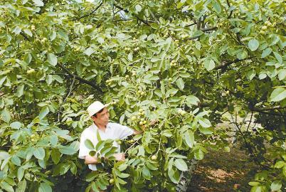 2020 Ĵ60ľϲҵصأѺν⣿