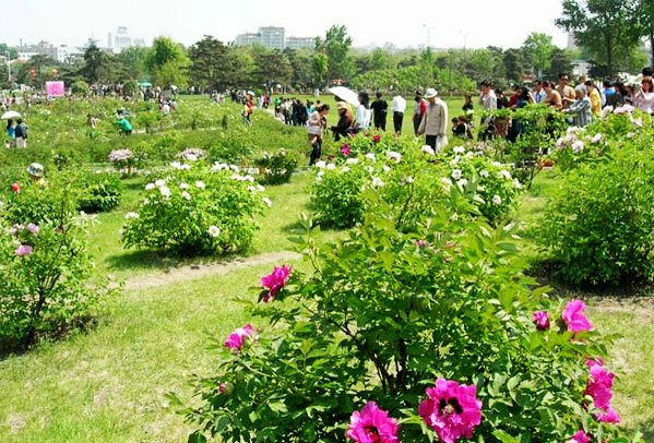 �������ݣ��ϰ�ĵ�����κ�����