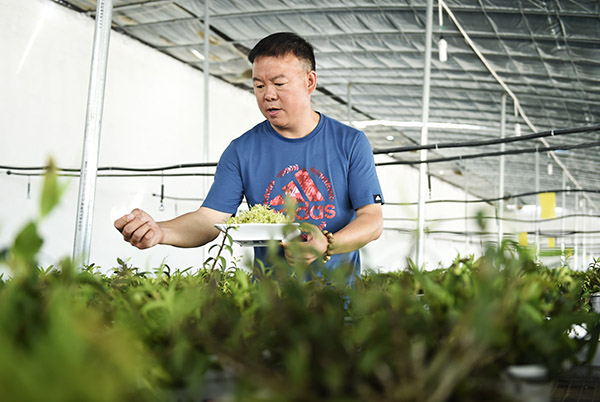 518գɽʡƽػ̬ũҵʾ԰ԱڲժƤʯ