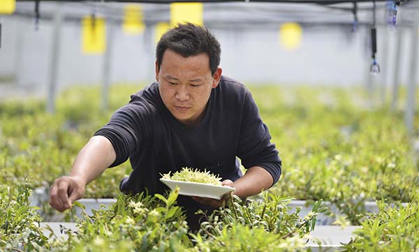 518գɽʡƽػ̬ũҵʾ԰ԱڲժƤʯ