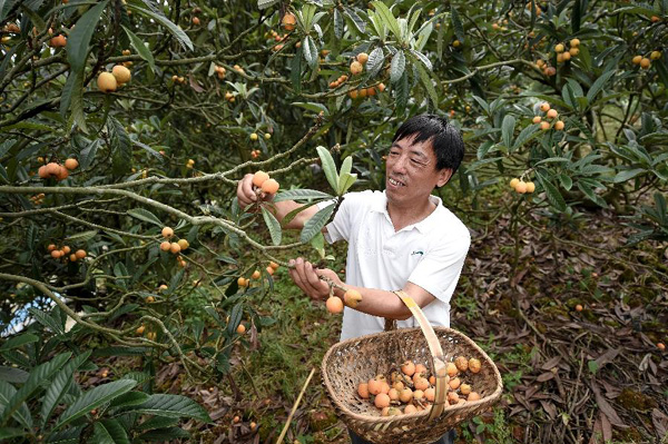 ���ջ�ɽ��̶���˳�������