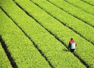 �������磺��һ��������������