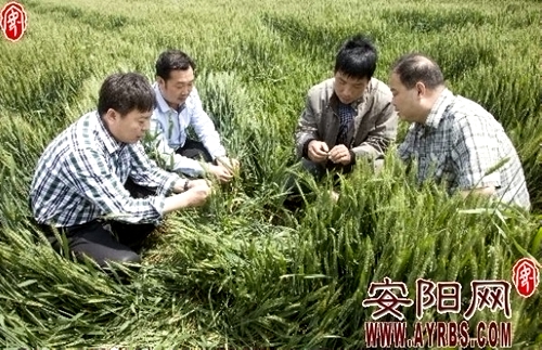 ���ϰ���������ũҵ���ջ�ũ���� ��ߵ����ֺ���������