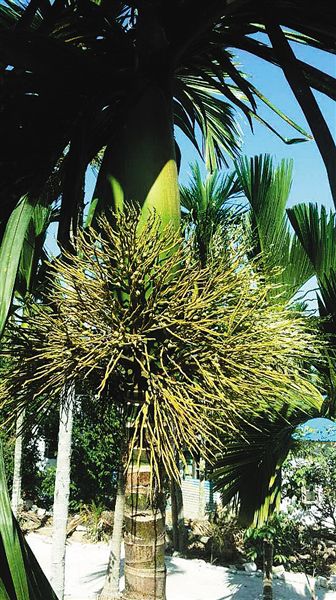 �������ƣ��߸ߵ����Ϲҡ��̽�