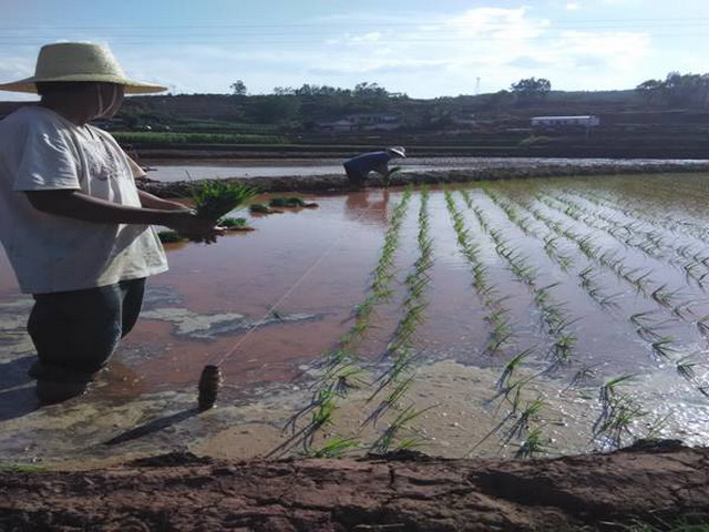 ���������������紺���������ȳ�