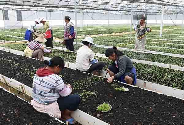 5��19�գ���������ֲ�������԰׼�С�硣