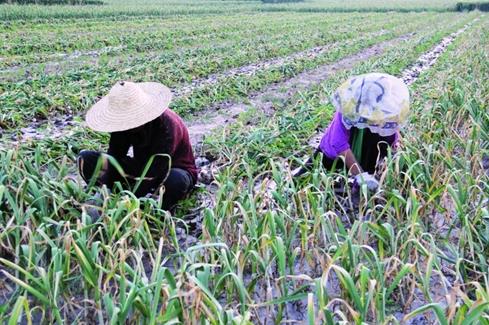 ���й�����֮�硱ɽ��������60��Ķ����ϲ�����