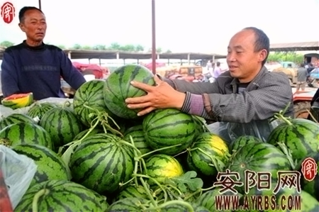 �����ڻ�����Ԥ��Ķ��5000���� �������������г�