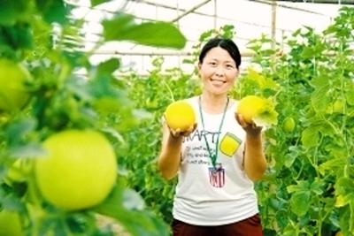 ���Ϸ����أ���̬ũҵ��ũ������