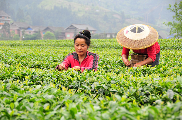 ����������С���� ����԰