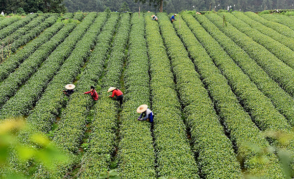 5��21�գ���ũ�ڹ����������������ض�����Э�������͵Ĳ�԰���ժ�Ĳ衣