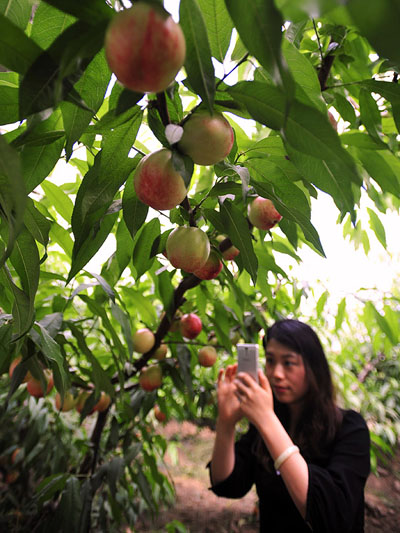 518գһλμũҵժڴ̨ũƷרҵĴҡ