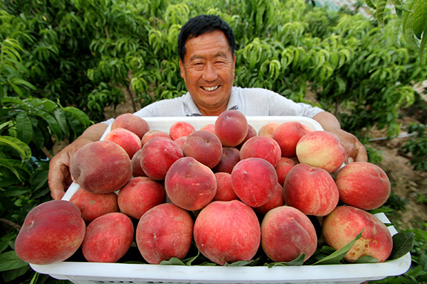 �ӱ��������������ҡ����ʡ�����