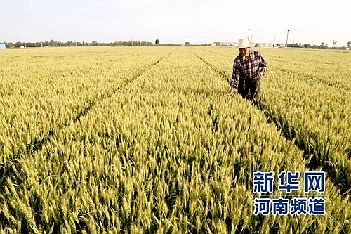 ���ϣ�С��������� ũ��ϲ��ü��