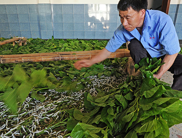 523գҶһλڲϷͶɣҶ