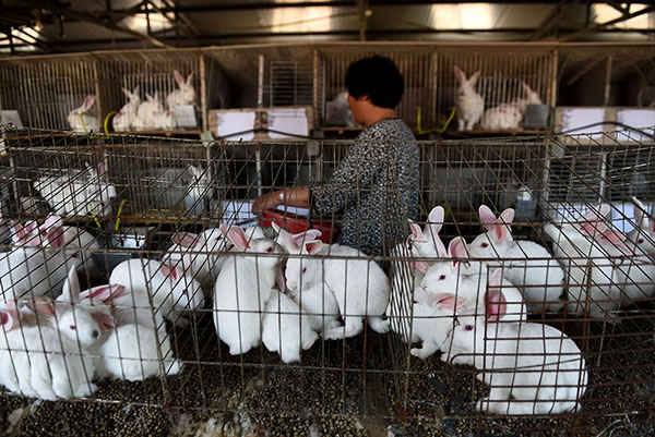 �ӱ��е£�С̡�� ���ҵ