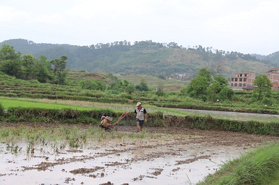 ����ţ���������Ϲ��ϴ�������