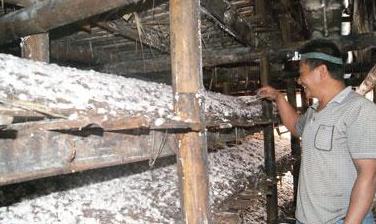 ˫أײҵó¼ҴȺڳΪԪˡ