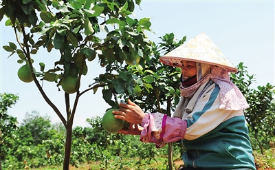 ���ϣ��������ֹҹ�����