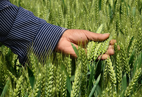 526գӱʡӼׯũ鿴Сơ