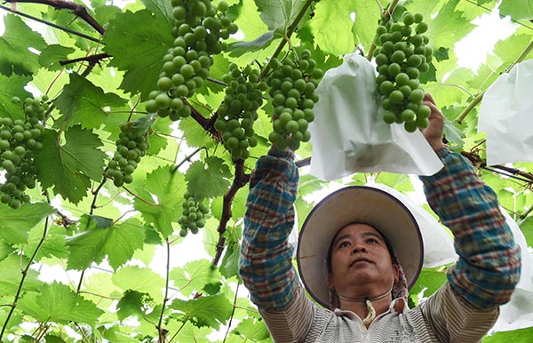 ����¹կ�أ���Ʒũҵ��ũ����