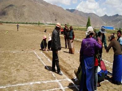 西藏国家草品种区域试验点参试草品种播种工作顺利完成